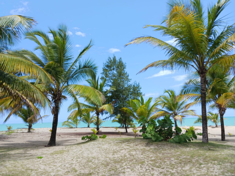 PH OCEAN POINT Loíza, Puerto Rico GVC Real Estate Inc Bienes Raíces